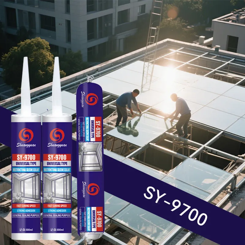 SY-9700-Soft specification 2